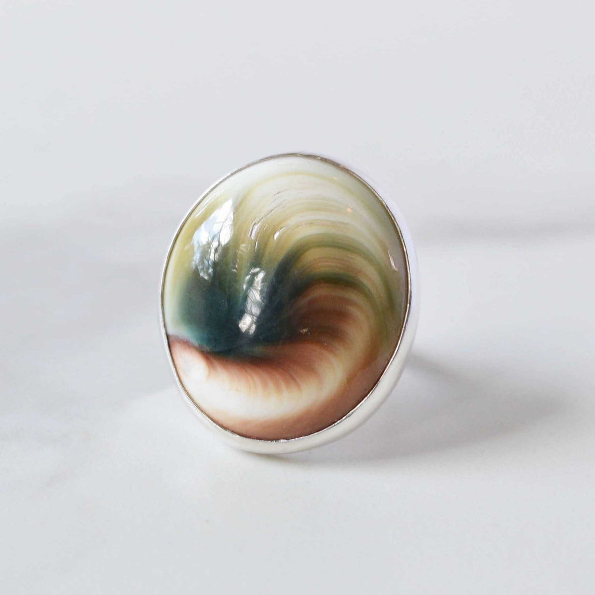 Natural Shiva Shell Sterling Silver Ring, One of a Kind