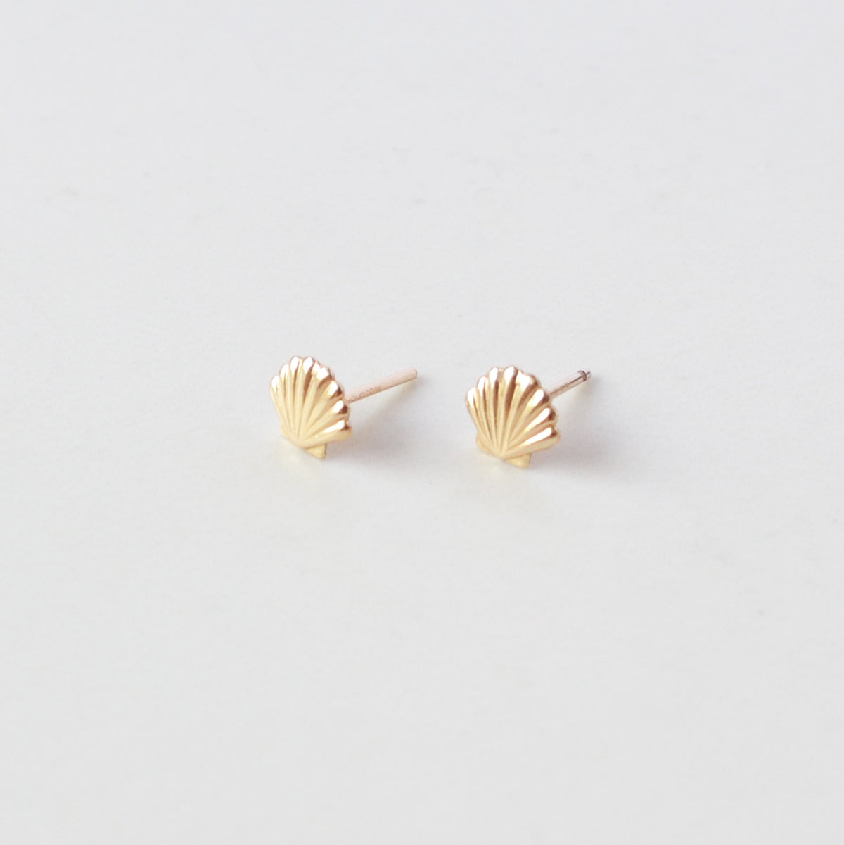 Seashell Stud Earrings